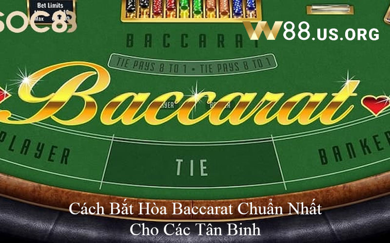 Cách Bắt Hòa Baccarat Chuẩn Nhất Cho Các Tân Binh