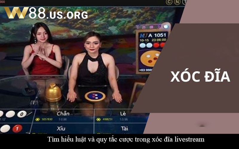 Tìm hiểu luật và quy tắc cược trong xóc đĩa livestream