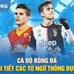 Cá độ bóng đá - Chi Tiết Các Từ Ngữ Thông Dụng