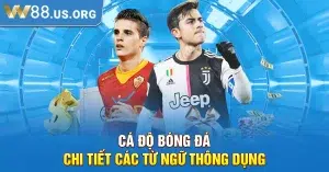 Cá độ bóng đá - Chi Tiết Các Từ Ngữ Thông Dụng